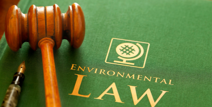 Environmental 1 A.N. Kamau & Co. Advocates